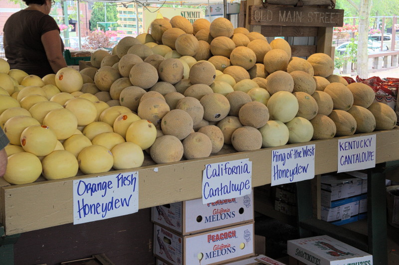 Kirkwood farmers' market, Missouri / USA Food & Farmers' Markets